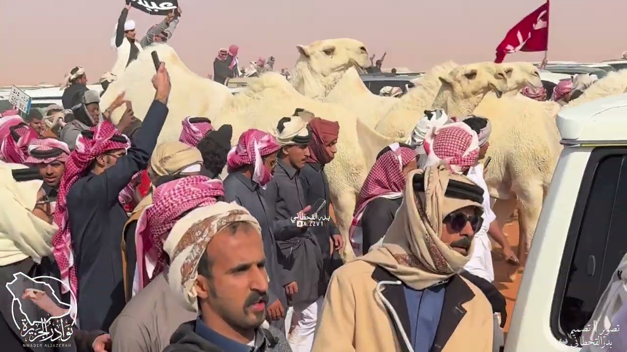 مسيرة نوادر الجزيرة منقية رجل الاعمال محمد بن فهاد #ابن_جخدب القحطاني