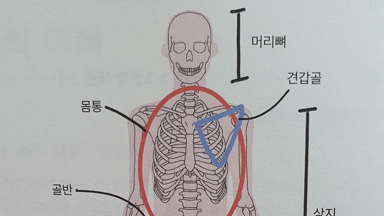 다이어트 방법 & 유지어터로 사는 방법 