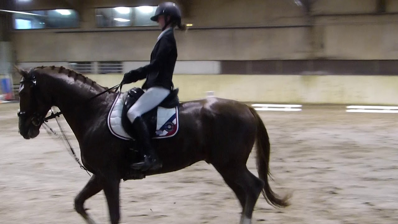 Concours Olivet 1 ere place dressage club 3 grand prix