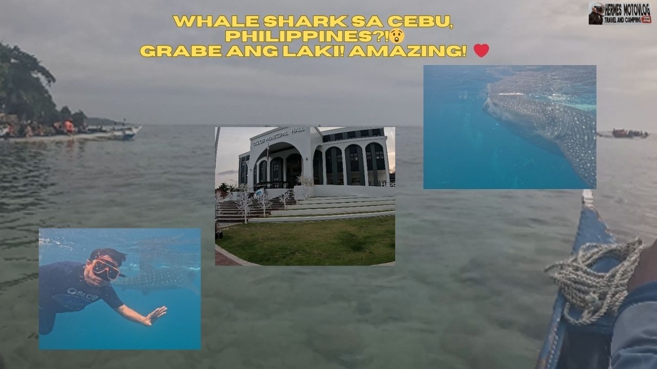 Hermes Vlog #73. WHALE SHARK SA OSLOB CEBU