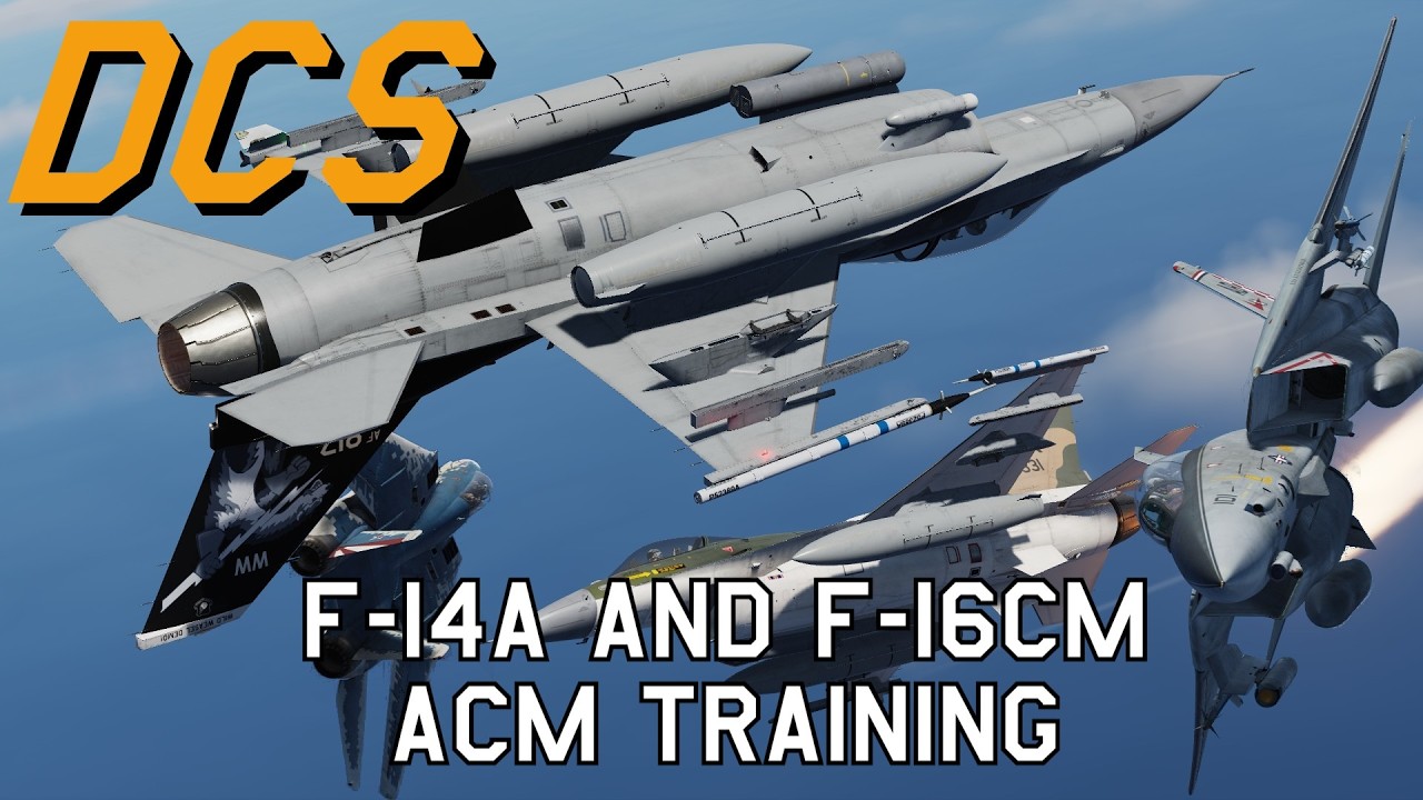 DCS World | F-14A & F-16CM  | ACM TRAINING