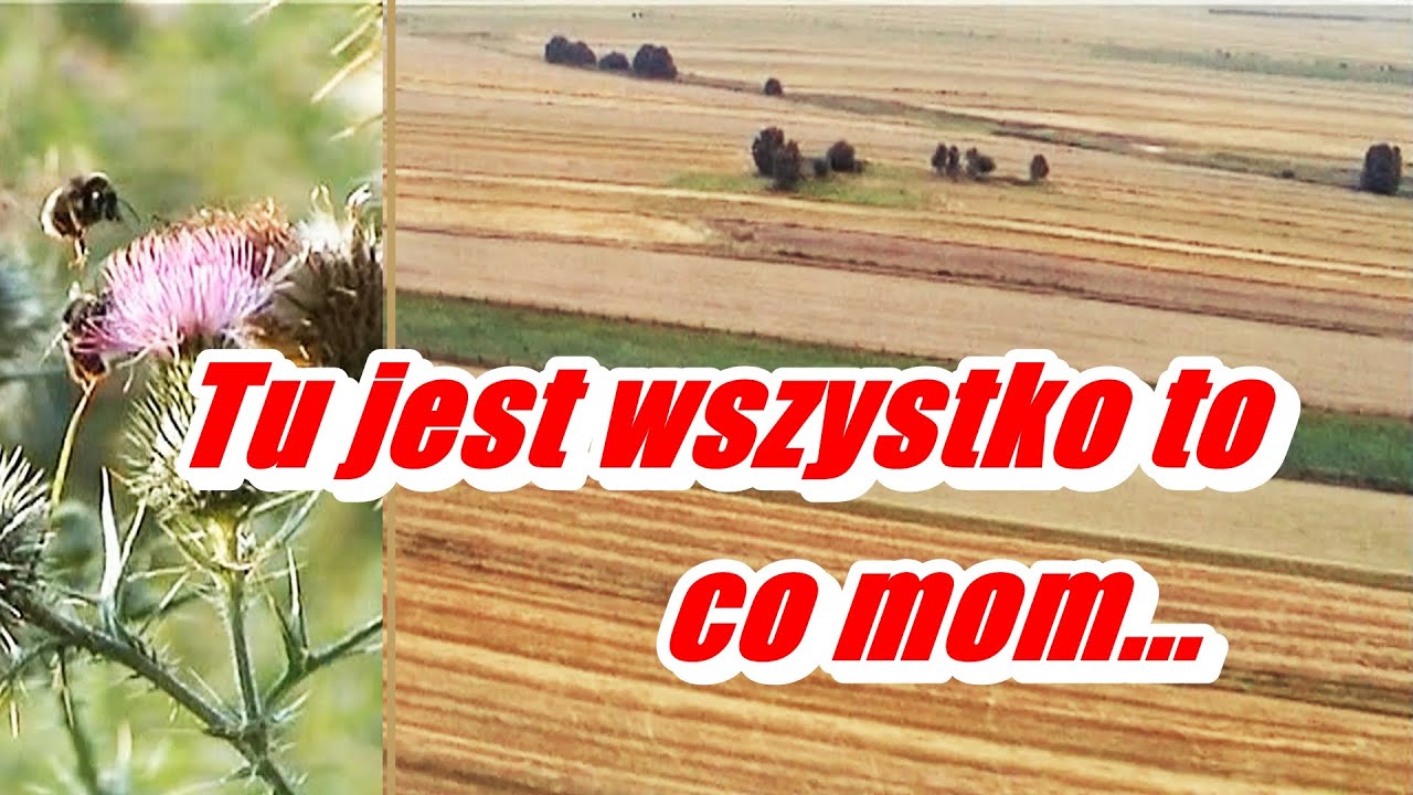 Sami Śląsk wyleczymy -  Eugeniusz Kluczniok