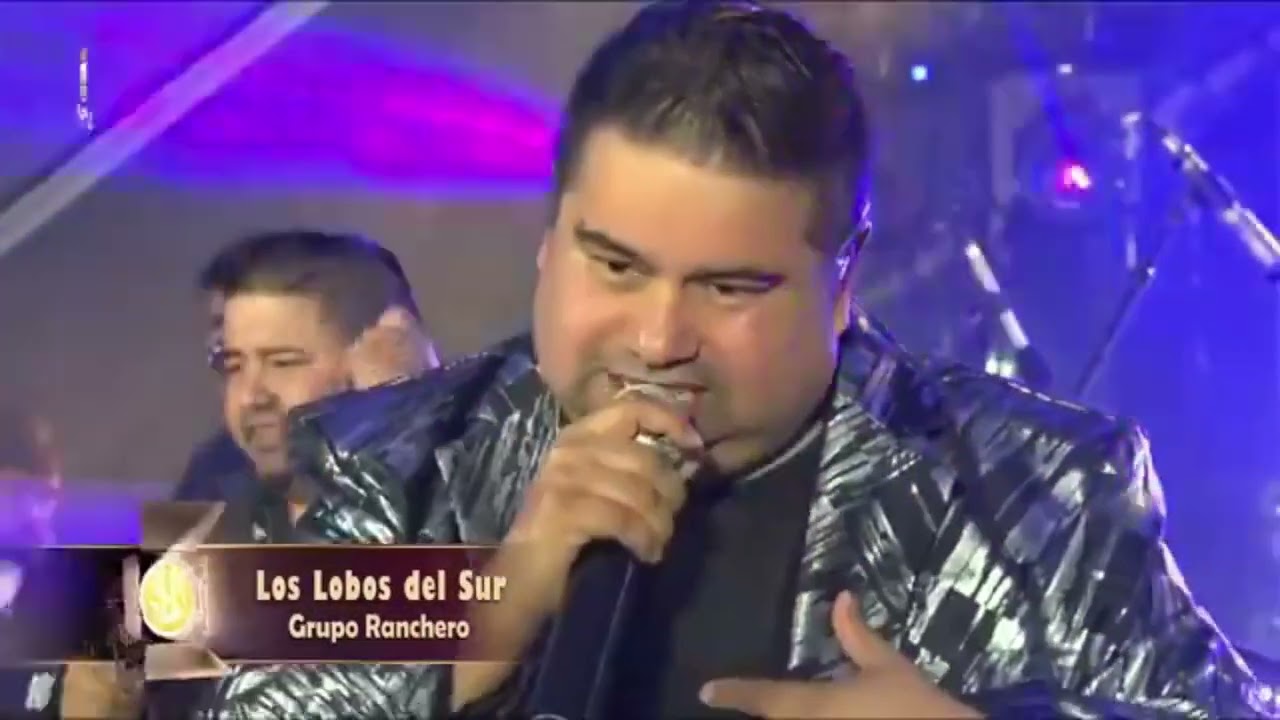 Los Lobos del Sur Concierto Lago Ranco