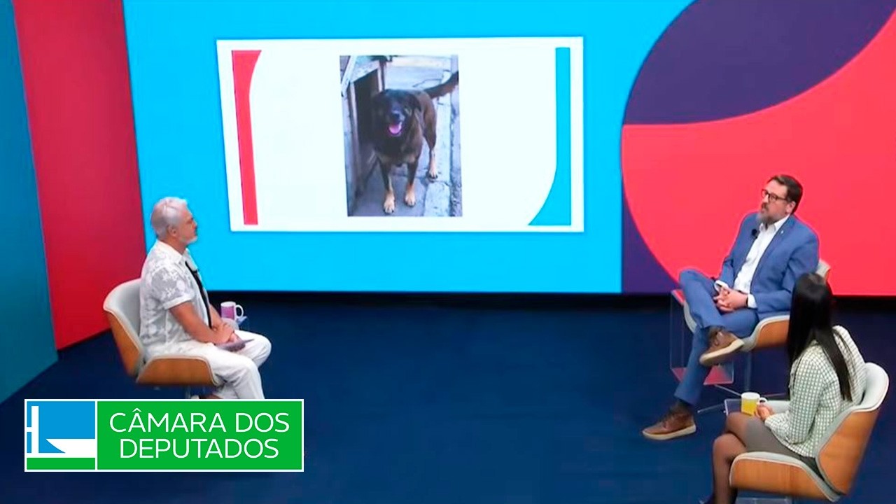 Proteção dos pets - 29/01/2026  #ParticipaçãoPopular