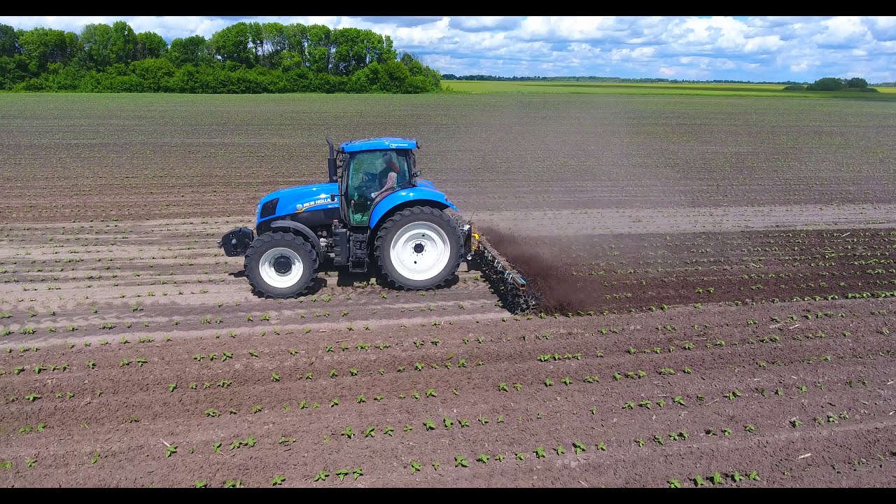 New Holland 6070 в роботі з ротаційною бороною на соняшнику 2020