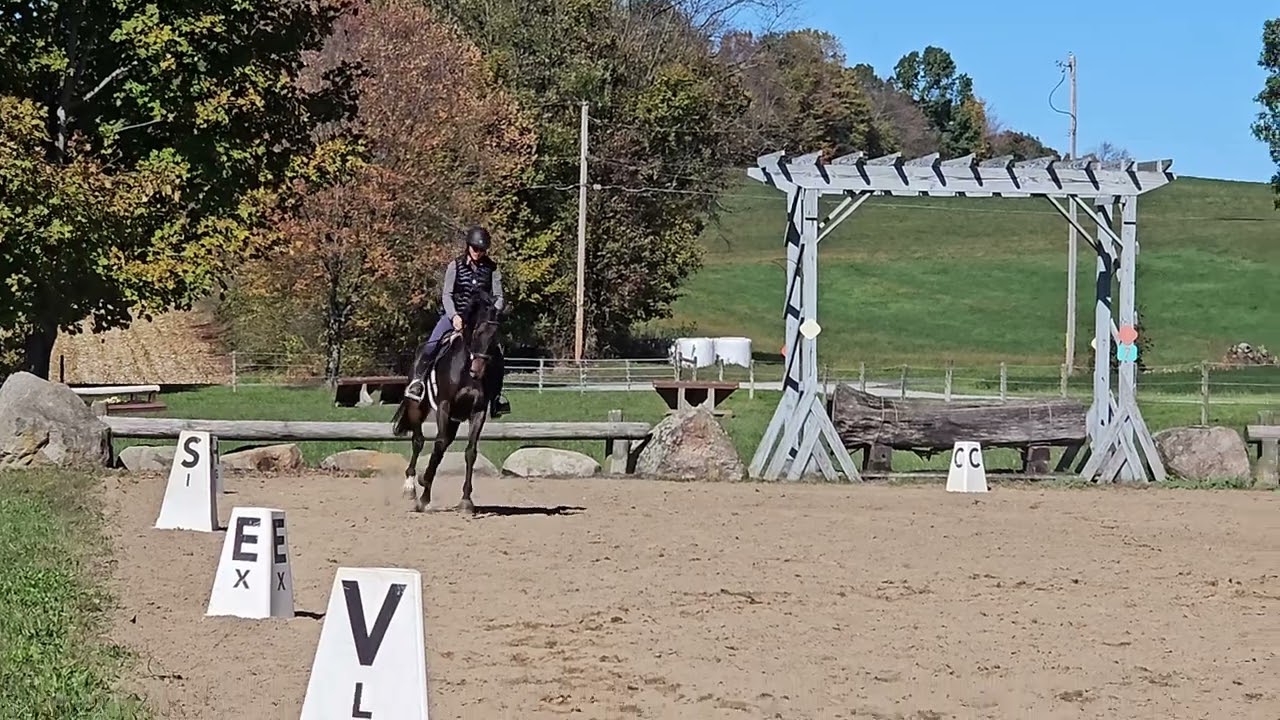 Holiday Dancer 10.16.25