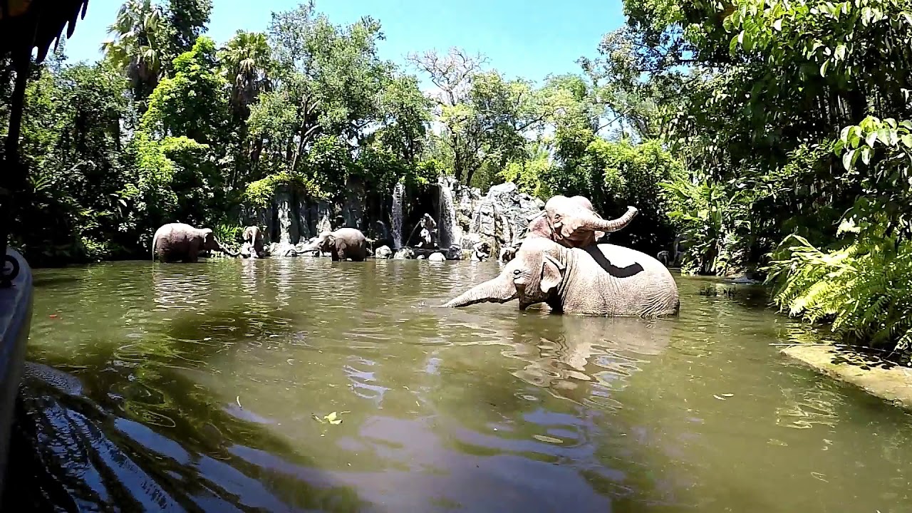 DISNEY WORLD 2018