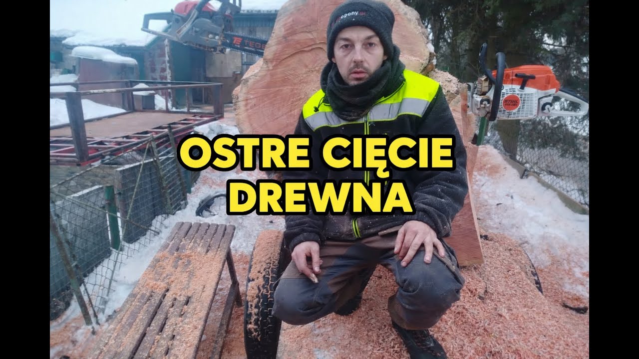 Nowy Nabytek STIHL MS261 Pierwsze Testy/Ostre Cięcie Drewna