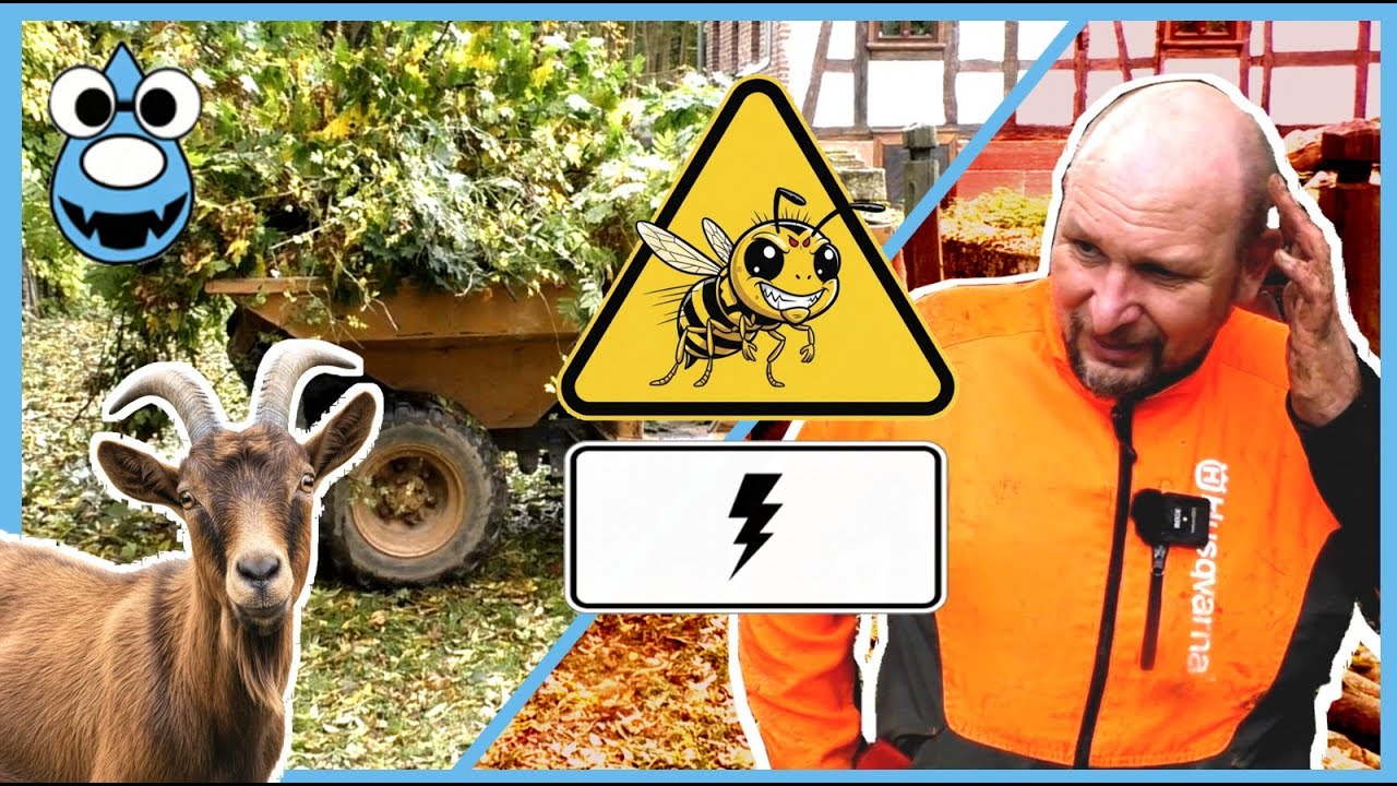 Dumper im Dauereinsatz! 🐐 Ziegenfutter-Aktion & Wespen-Angriff – Holz rücken mit Bagger