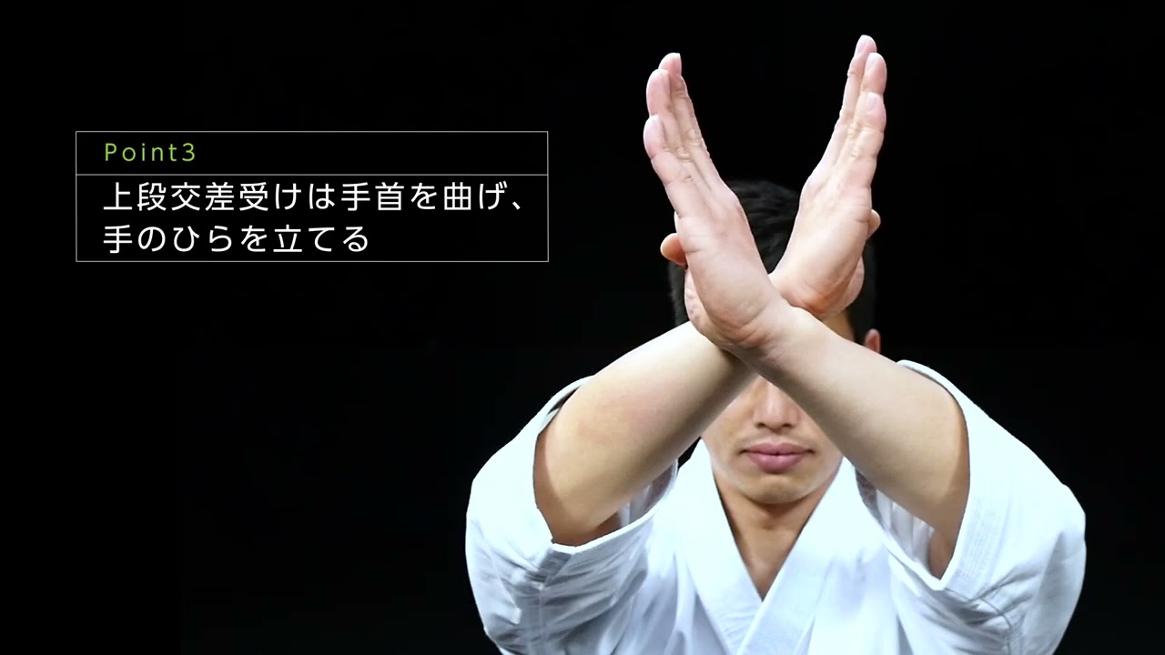Shito-Ryu Karate Kata, Heian Godan (5)