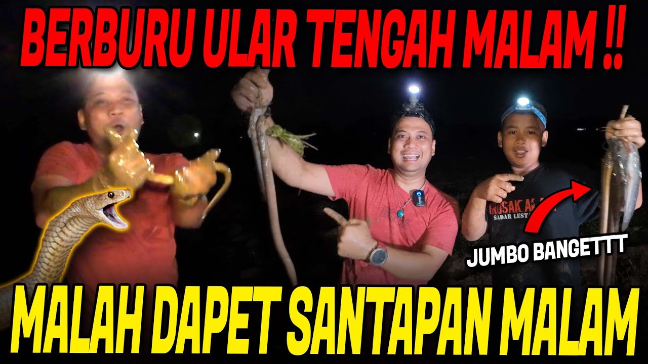 SURVIVAL ALAM LIAR BERBURU MAKANAN ALAM PENUH GIZI DAPAT BANYAK BELUT