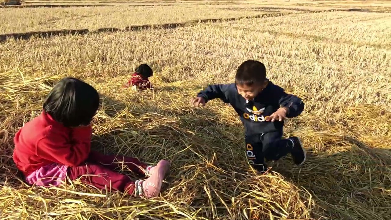 Charu da onbagi khunungaisidi