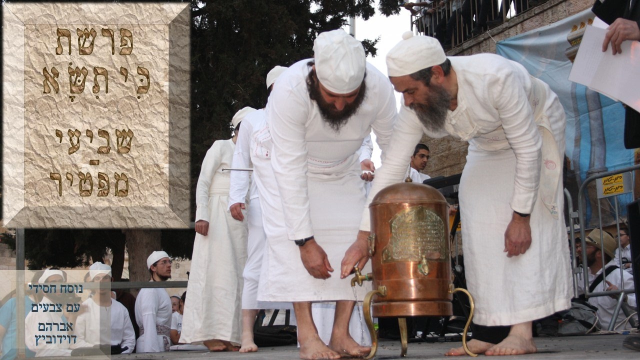 קריאת התורה | פרשת כי תשא | שביעי - מפטיר