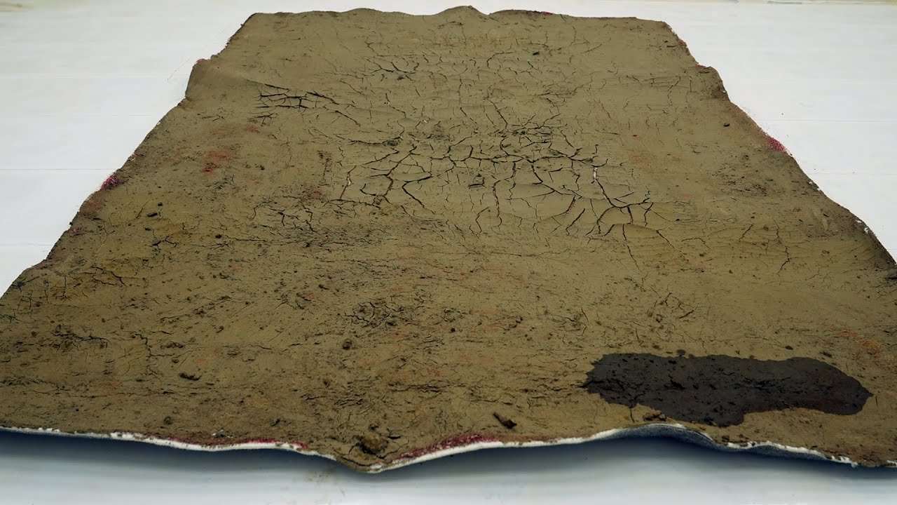 Extreme Mud Removal From a Forgotten Carpet | Purely Satisfying ASMR, Carpet Cleaning ASMR