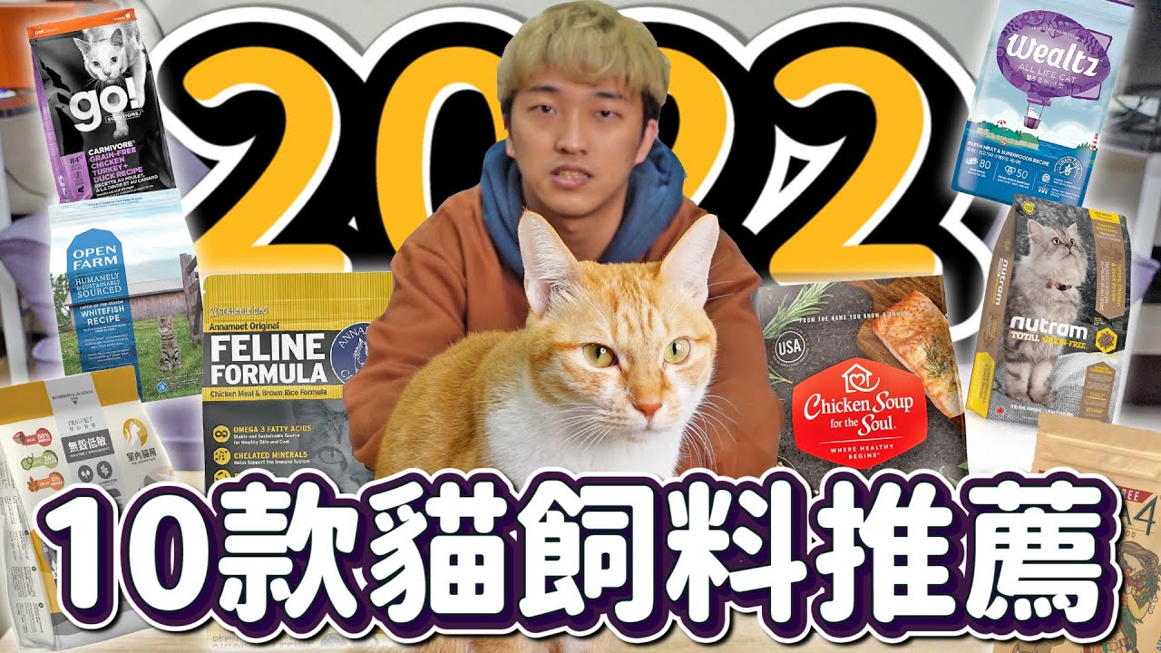 2022最新，十款貓飼料推薦，還教你如何簡單篩選！