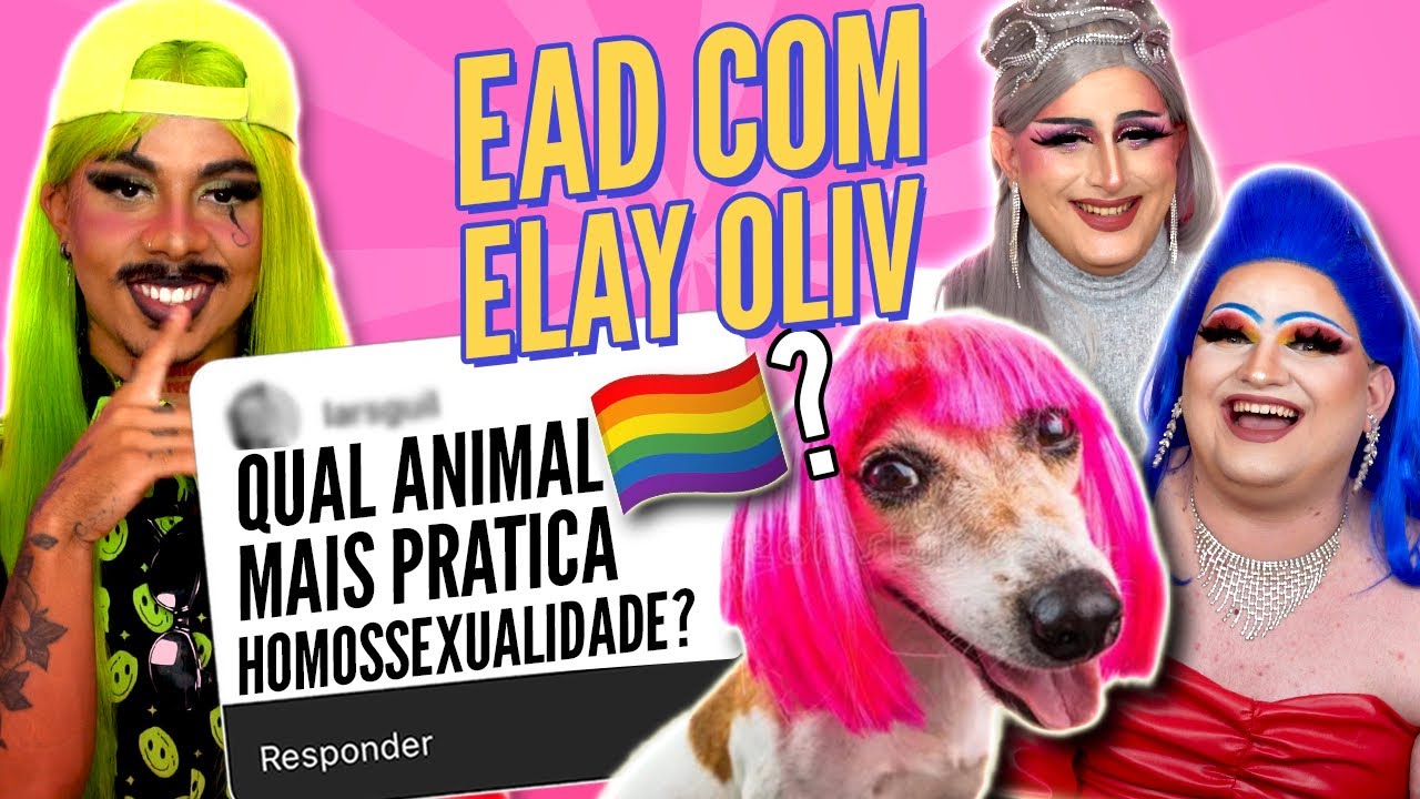 Elay Oliv responde Perguntas de Conhecimentos Gerais | EAD COM DRAGBOX #19