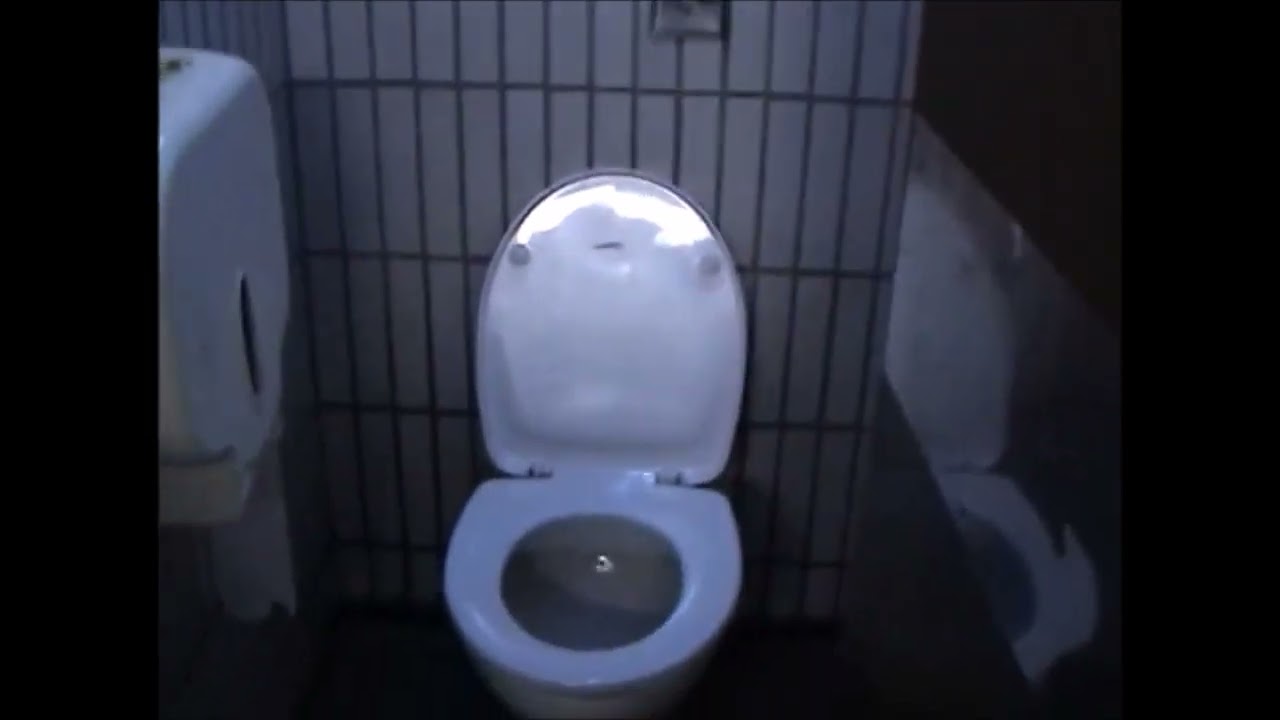 St Vincent Place Public Toilets 2009