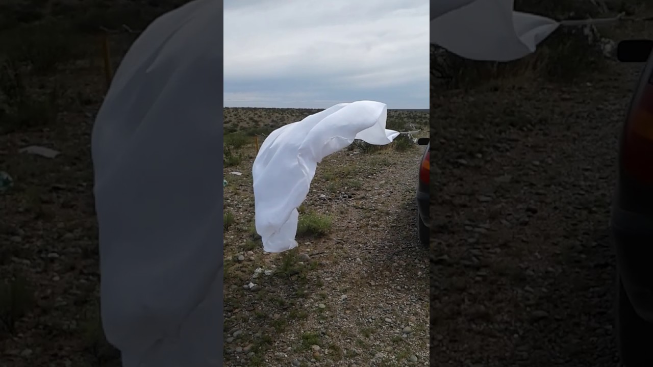 White silk in the wind