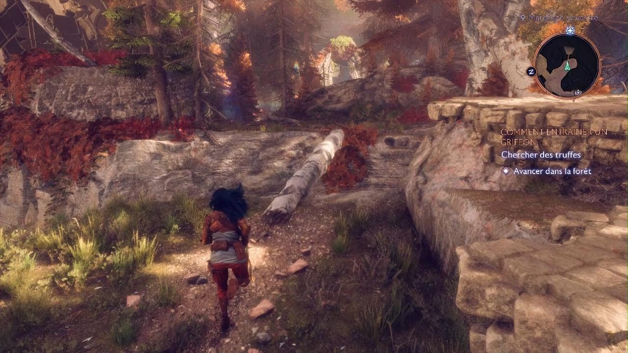 Dragon Age: The Veilguard