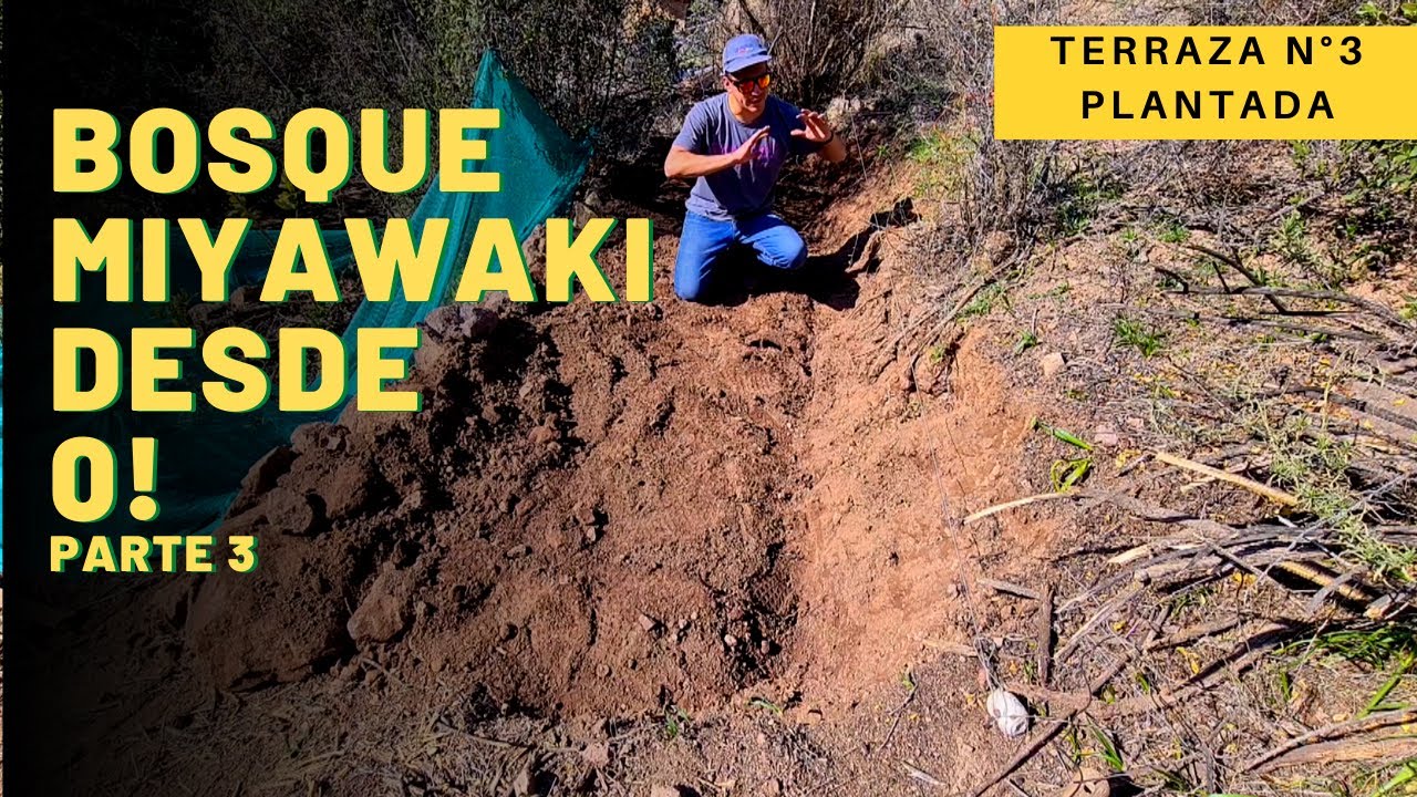 🌳 Mi BOSQUE MIYAWAKI #3: PLANTAR nativos en TERRAZAS 🌱 PROYECTO SUSTENTABLE ÑAMKU