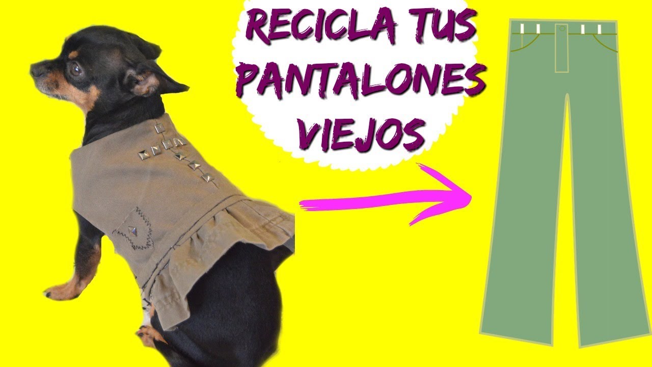 COMO HACER ROPA PARA PERROS CHIHUAHUA RECICLANDO TUS PANTALONES VIEJOS