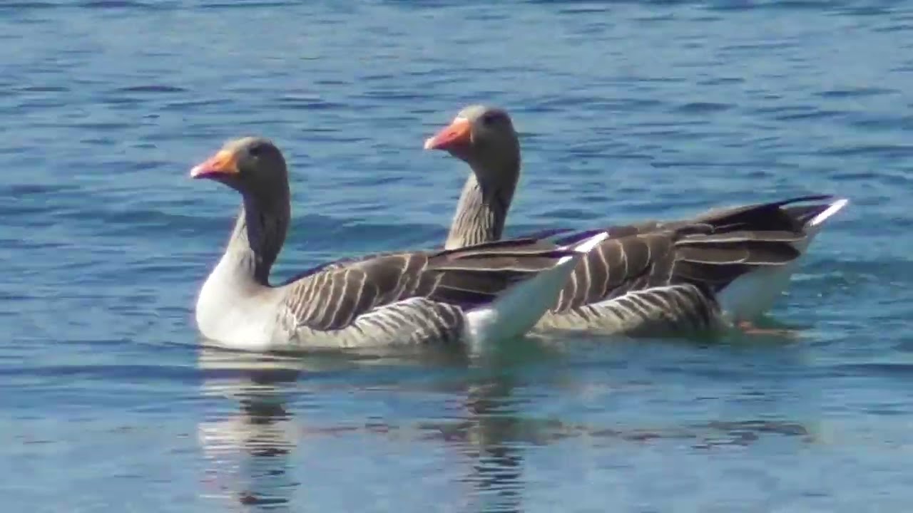 Marston Vale   Easter Sunday 20th April 2025