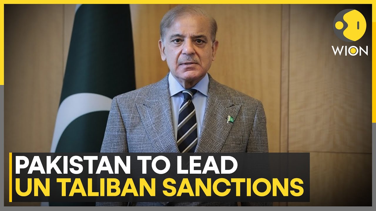 Pakistan's Leadership Role In UNSC's Taliban Sanctions Committee | World News | WION
