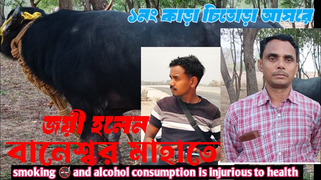 বানেশ্বর মাহাত বনাম রাজকুমার মাহাত । চিতড়া মাঝিডি আসরে ১নং কাড়ার লড়াই সম্পূর্ণ দেখুন ড্রোনে 