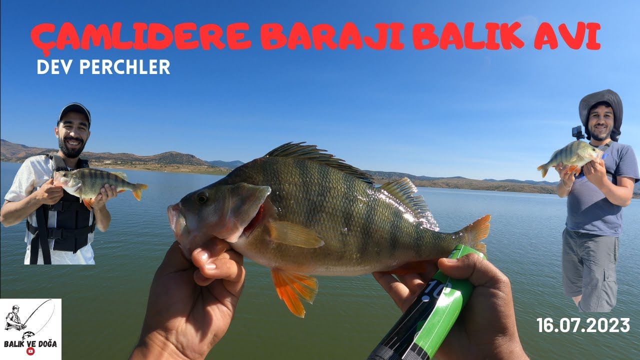 Ankara Çamlıdere Barajı Balık Avı. / Perch Fishing