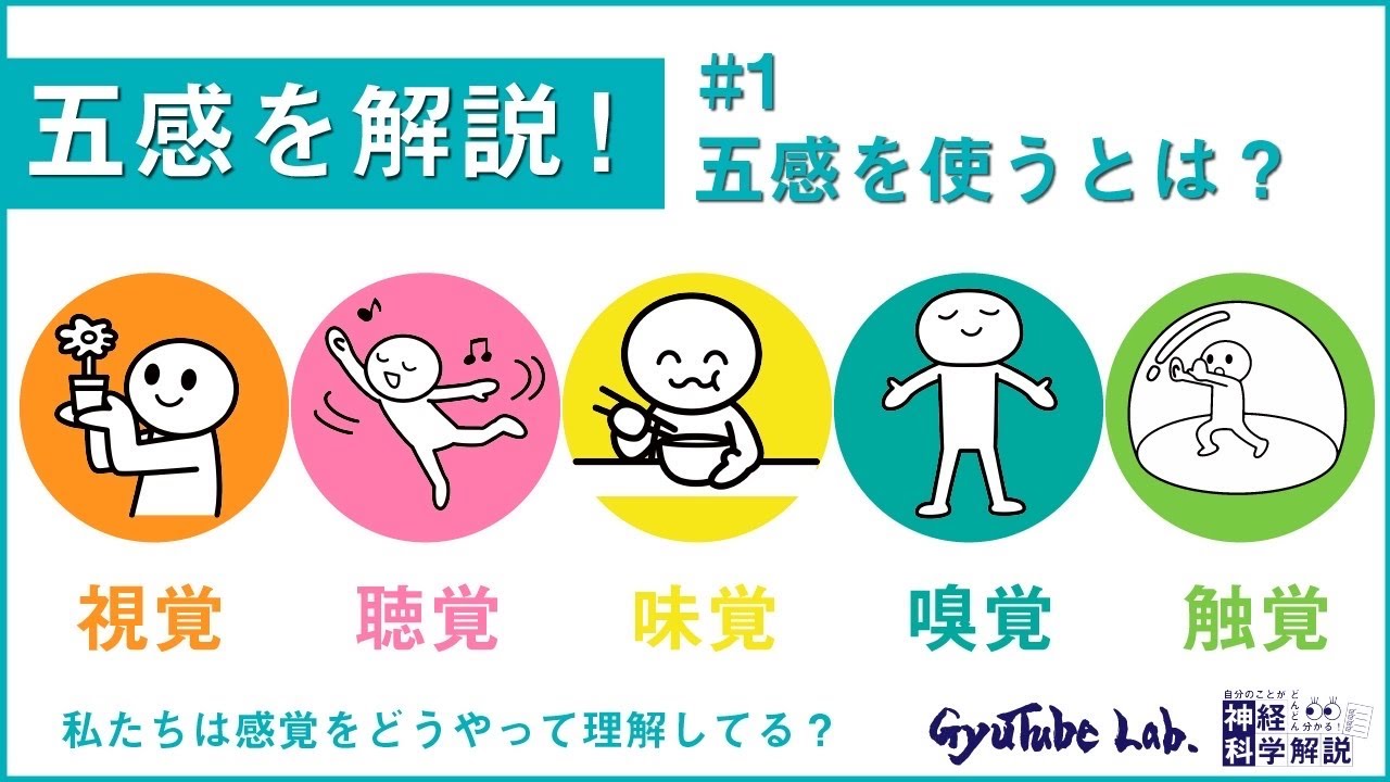 五感を解説！＃1 ―五感を使うってどういうこと？―【神経科学解説②】