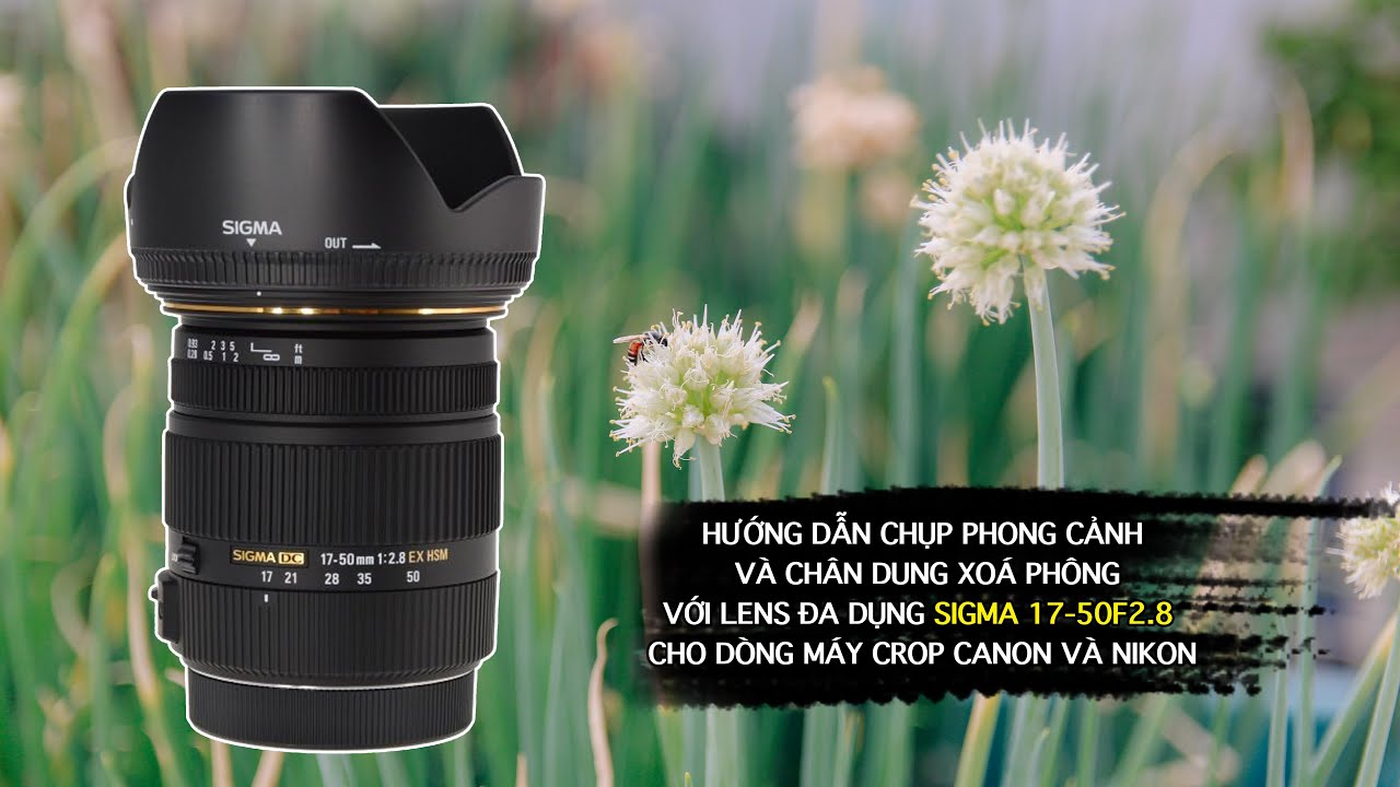 Làm chủ lens Sigma 17-50F/2.8 chụp phong cảnh và chân dung xóa phông hiệu quả