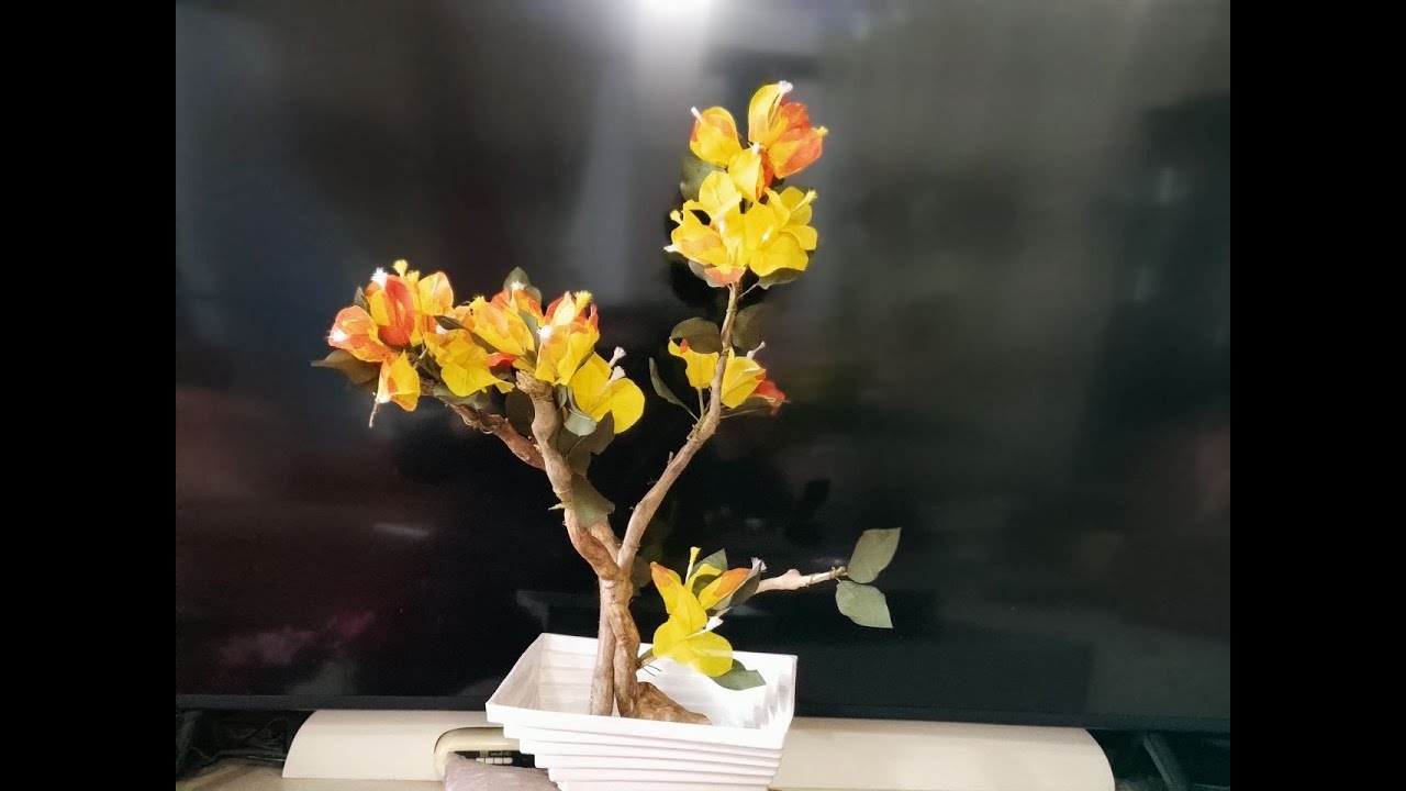 Saron Bonsai Siamdan | Bougainvillea Tutorial