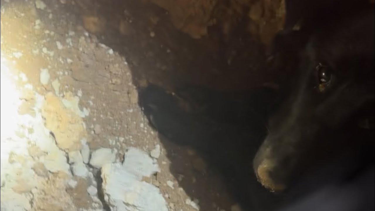 فتح ران وظهور رصد خطير 😱