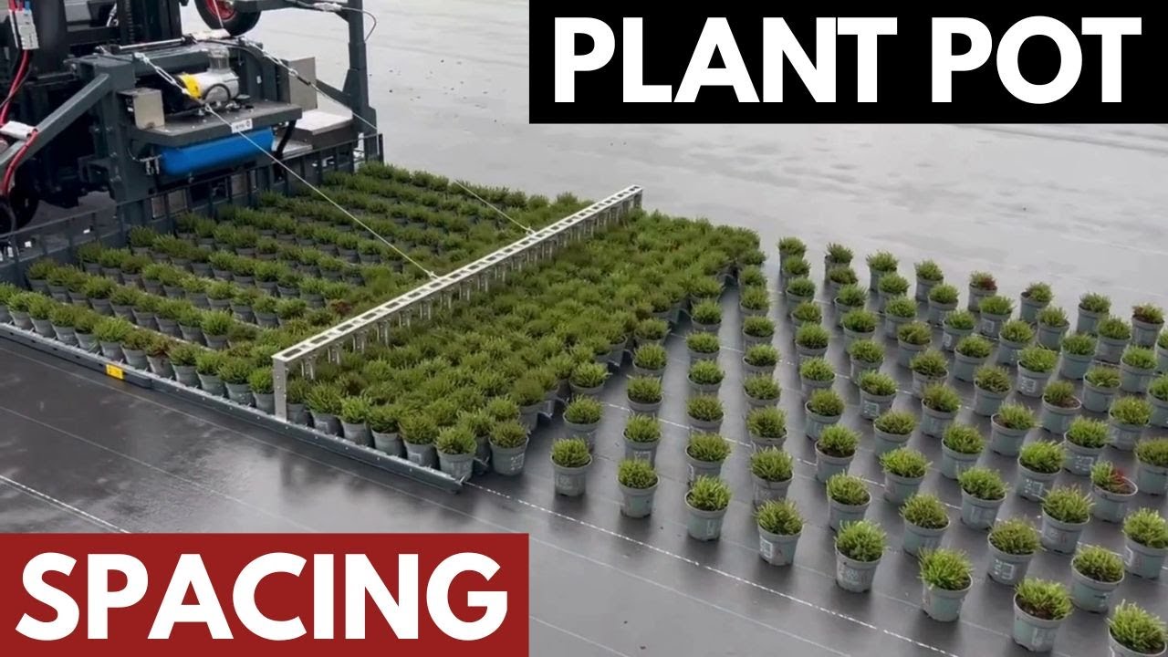 Mechanische Wijderzetvork 10,5 cm  | Lengte 2 m Breedte 2,2 m | Capaciteit 380 potten