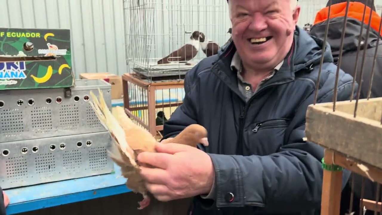 14.03.2026г Москва,Голубиный Рай,коротенький Обзор!!!