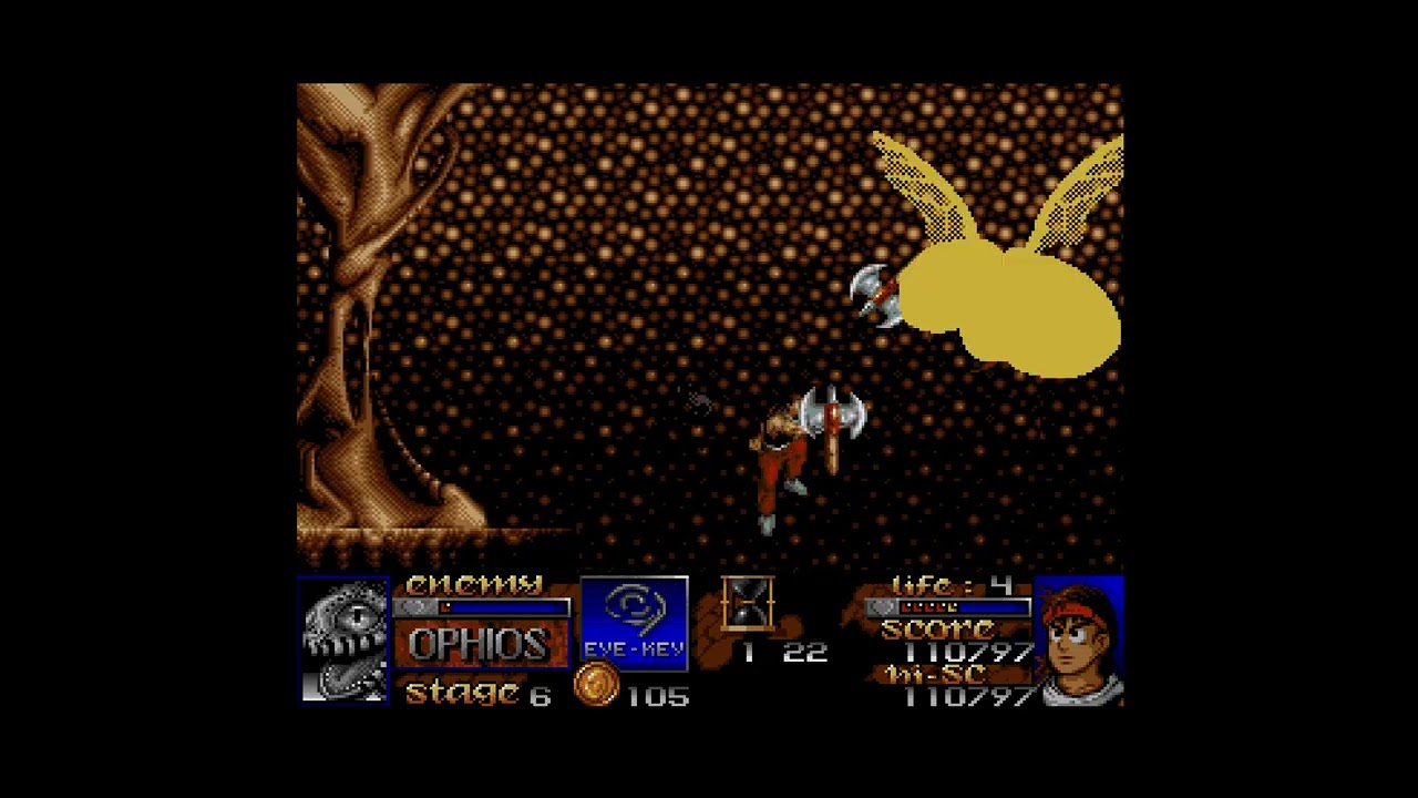 [TAS] Amiga Risky Woods in 18:11.938 by eien86