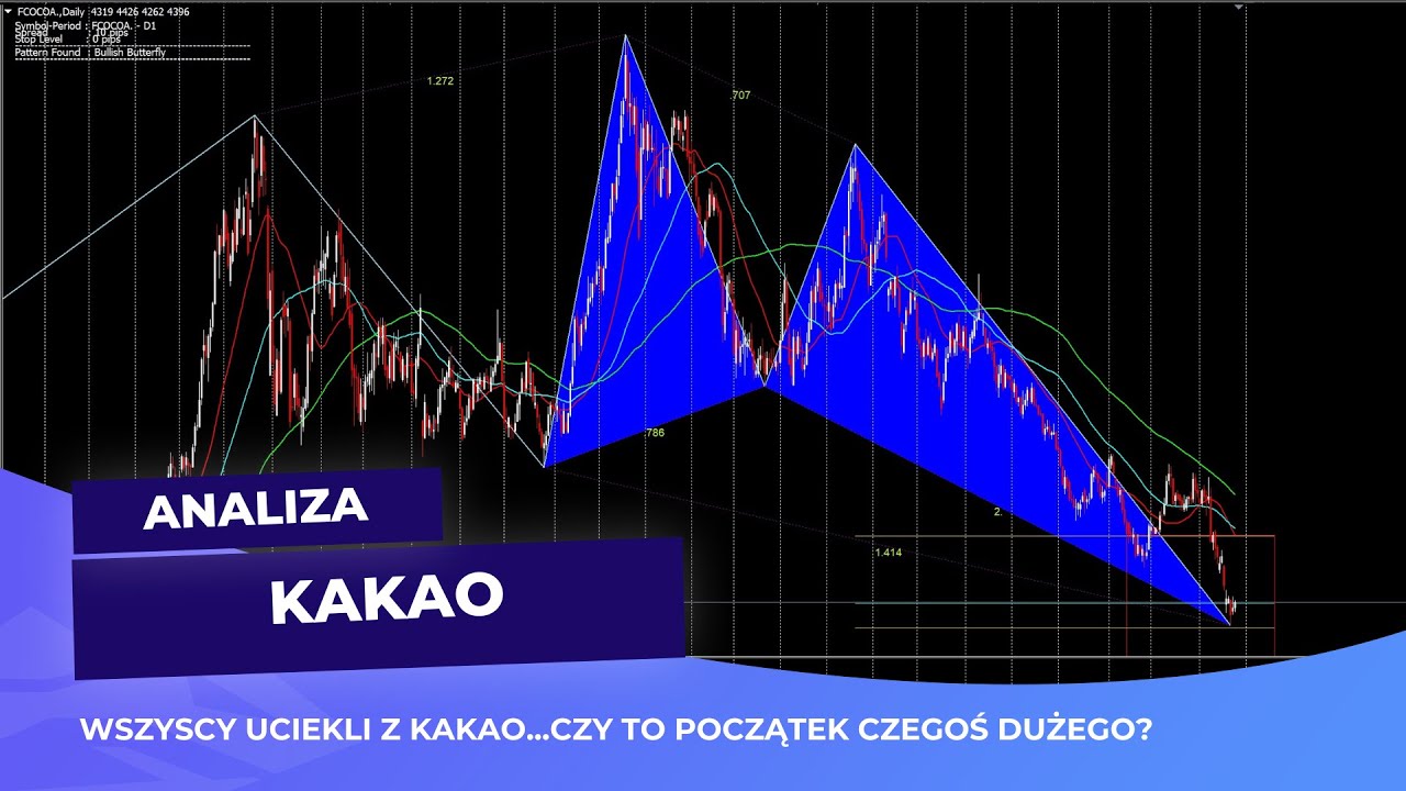 KAKAO...Wszyscy uciekli z kakao...ja widzę początek dużego ruchu... Analiza 27-01-2026