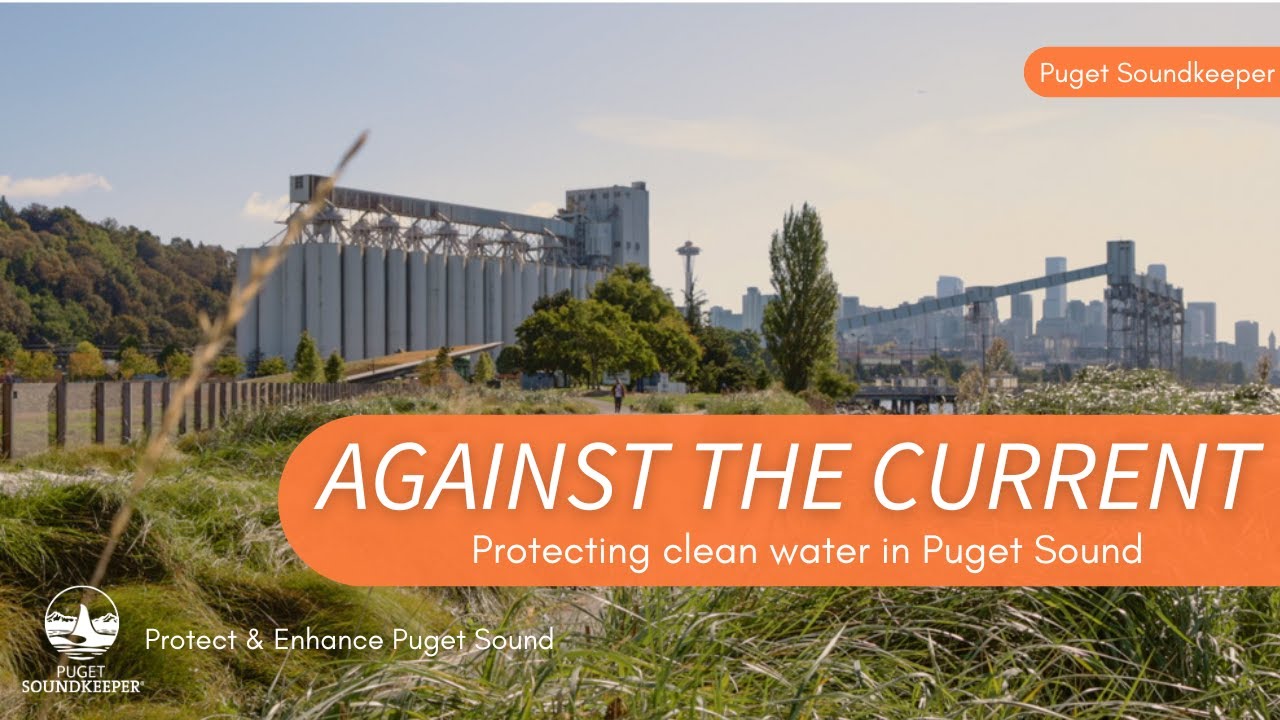 Against the Current: Protecting clean water in Puget Sound