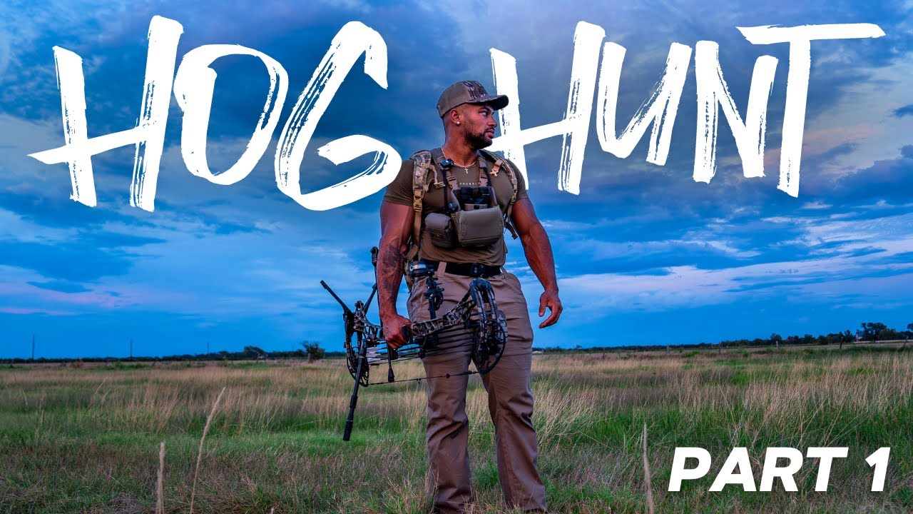 Bow Hunting Hogs at Night | Full Vlog