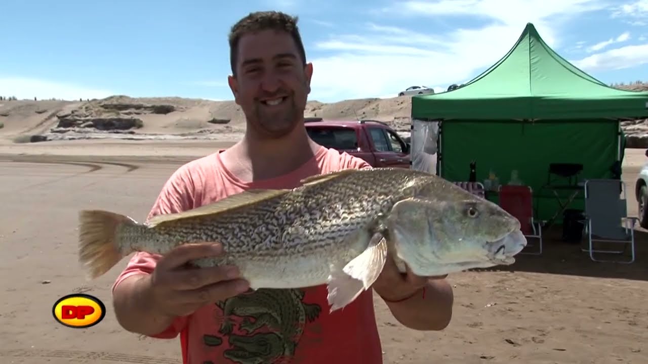 DIA DE PESCA Nº 1239 PICADO DEL TANO EN LOS BARCOS NECOCHEA 2025