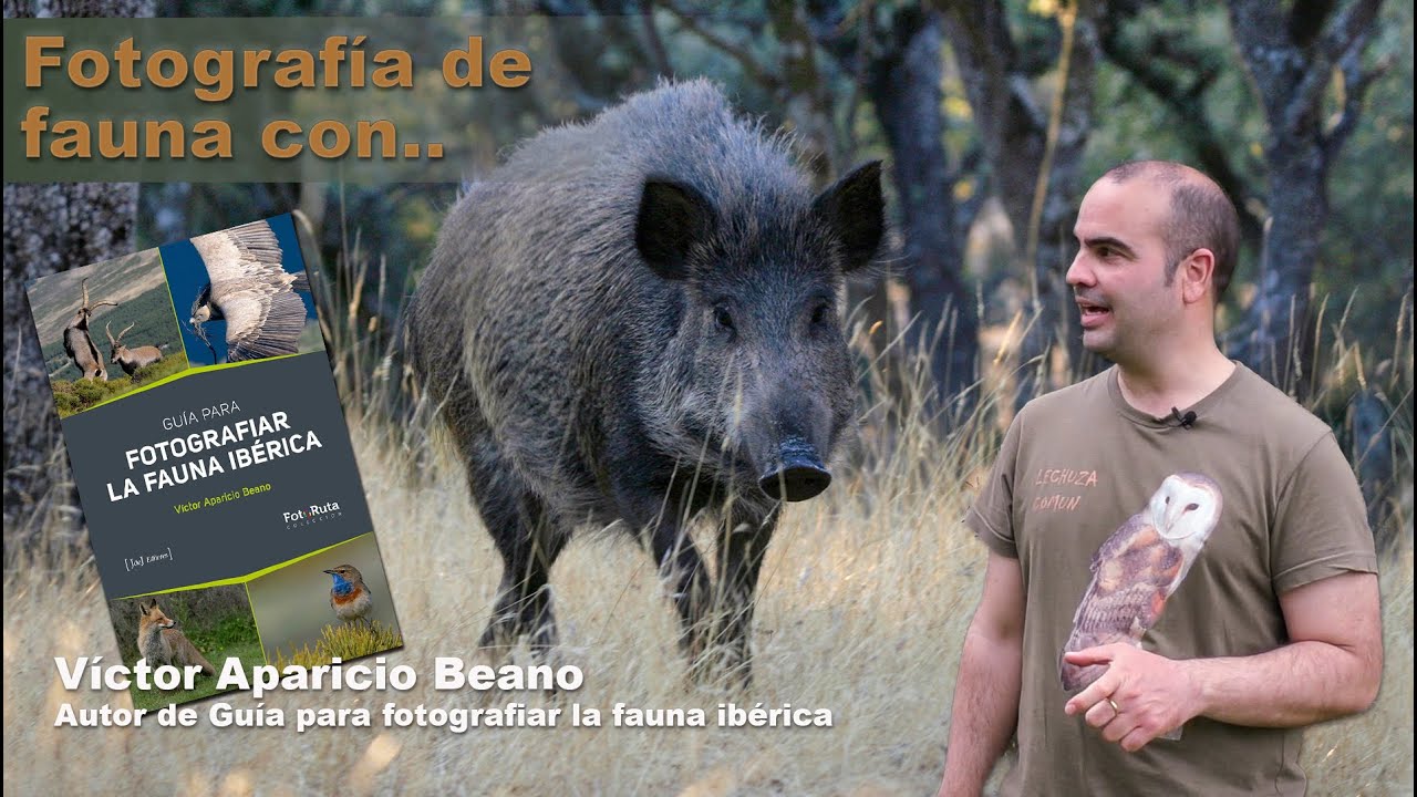 Construye un hide para fotos de fauna con Victor Aparicio Beano