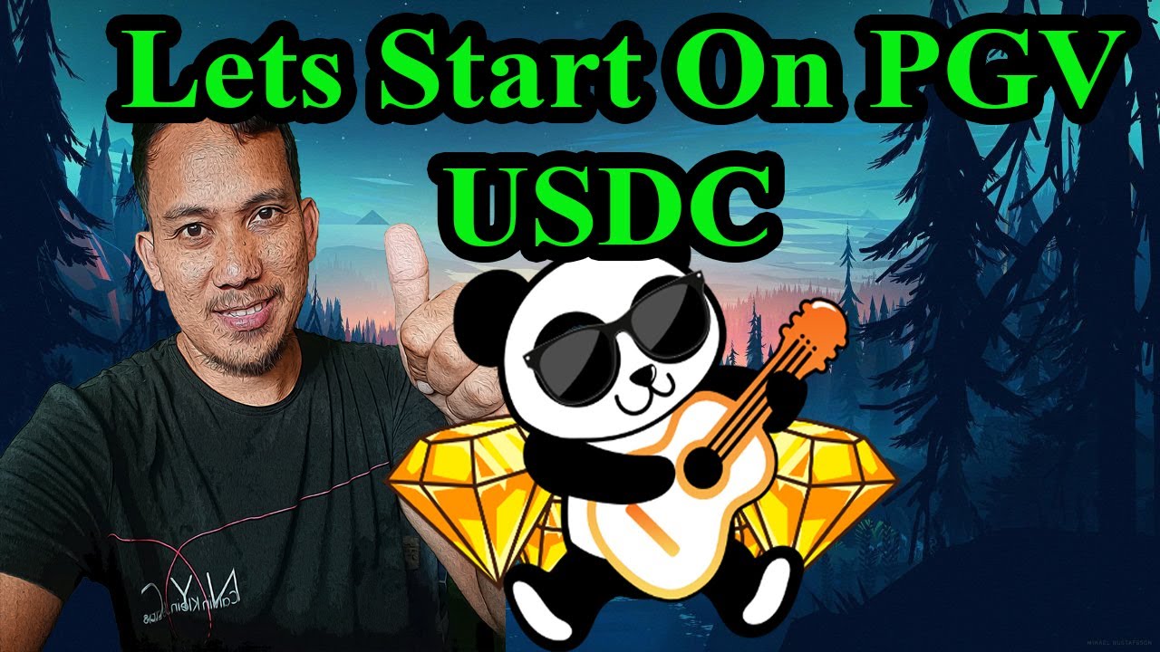 407 USDC For PGV | Swapping USDT to USDC