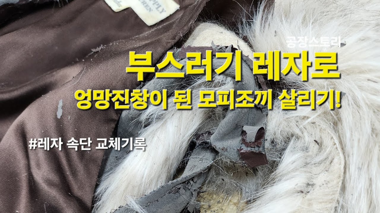 [26년 2월]아주 엉망진창, 레자 속단 교체 기록 