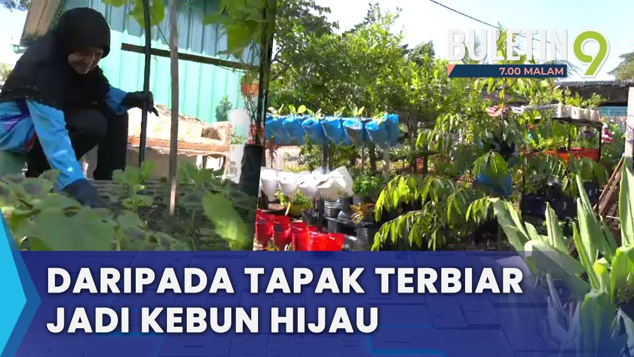 Usaha Warga Emas Ubah Tapak Terbiar Jadi Kebun Menghijau (B9)
