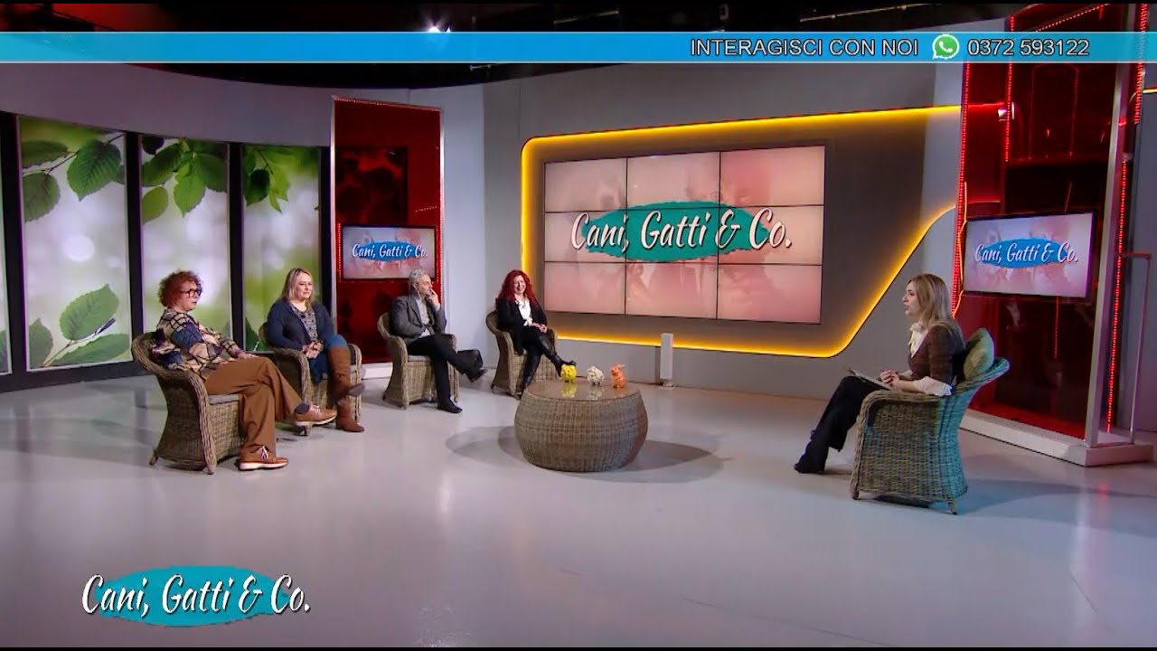 Cani, Gatti & Co: Rescue Pastore Asia centrale e Caucaso e le associazioni  23.01.23
