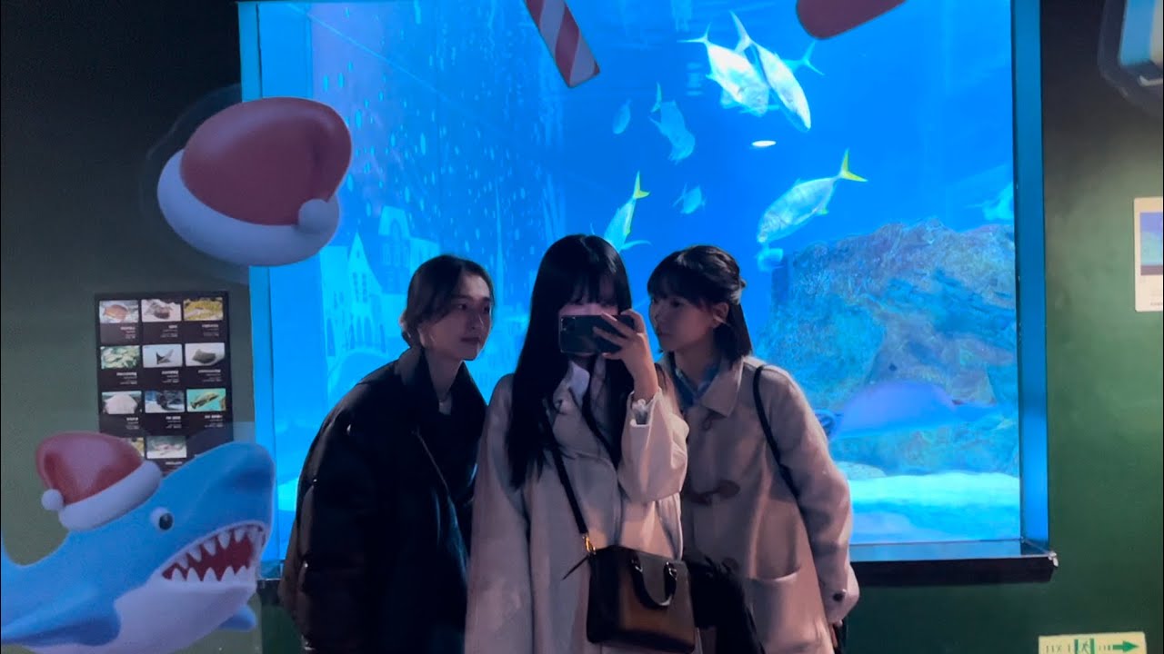 코엑스 아쿠아리움 vlog