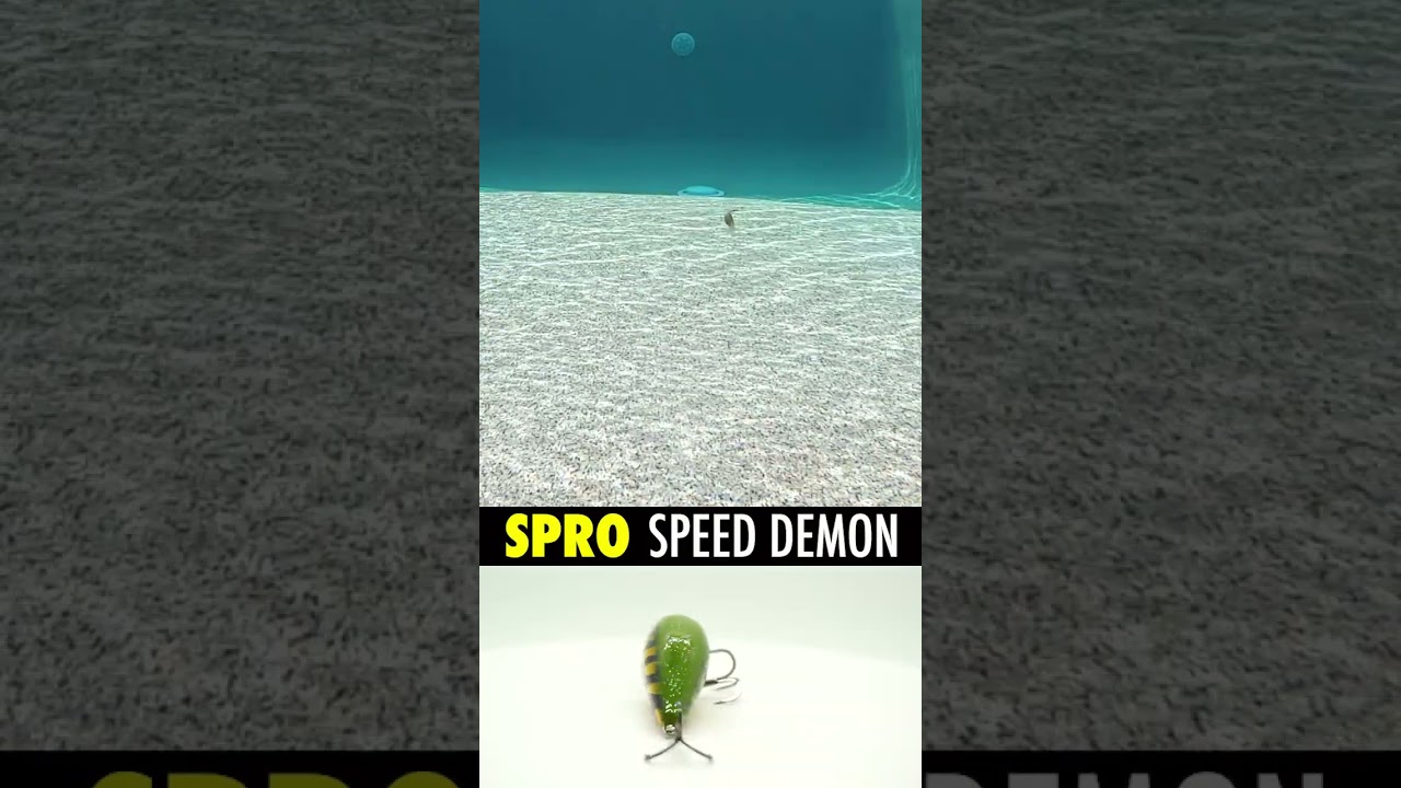 FIRST LOOK: Spro Speed Demon Bass Fishing Crankbait #shorts #fishing