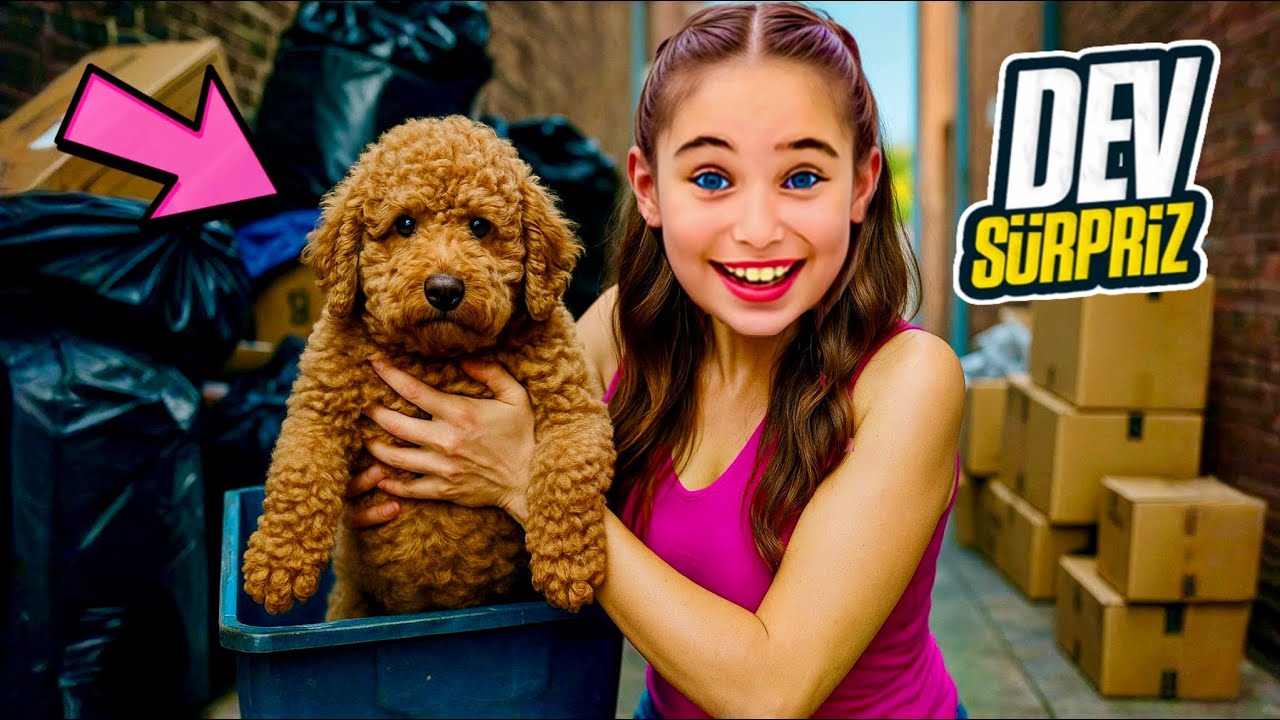 ELİF SİNEME YENİ KÖPEK SÜRPRİZİ YAPTIK ‼️ EYVAH KAYBOLDU ‼️