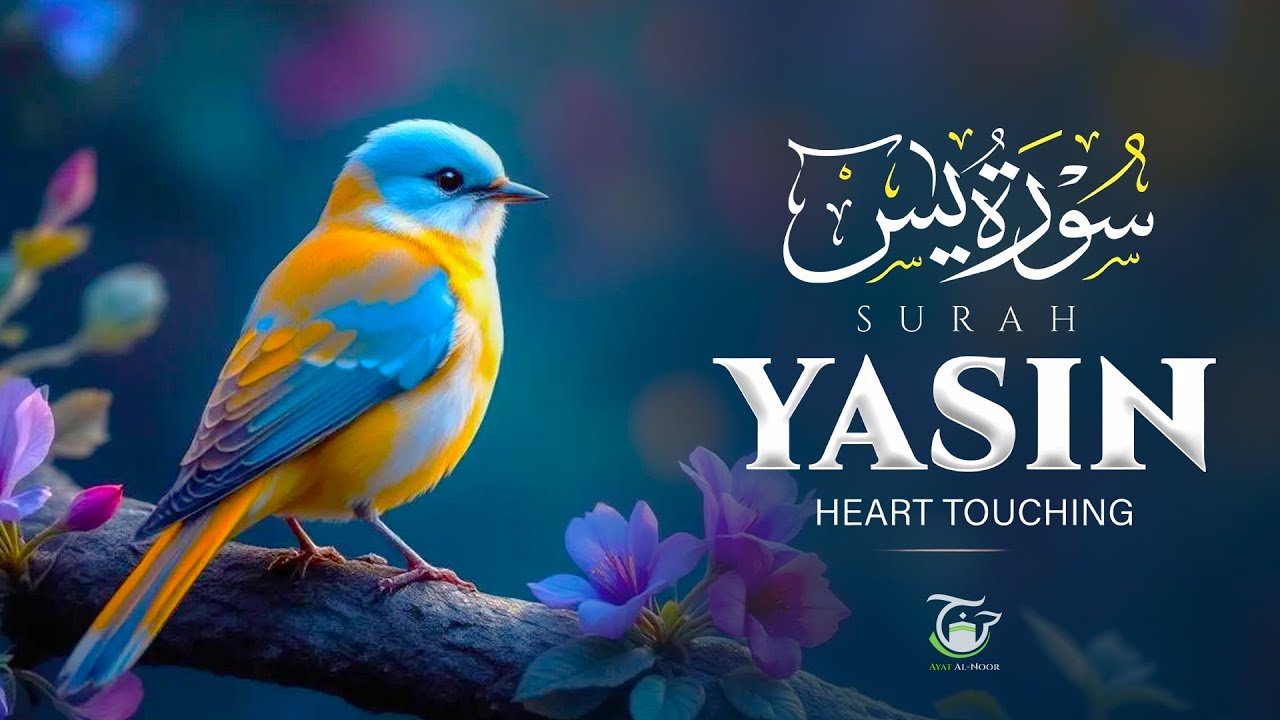Sleep Peacefully with Surah Yasin (سورۃ یٰس) | Protection from Evil | Calming Quran Recitation #lofi