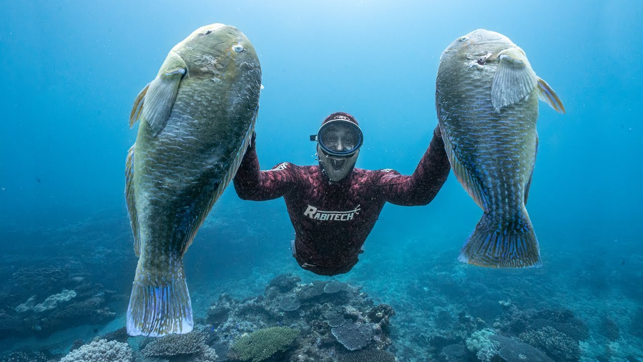Tuskfish Town! Spearfishing the Muiron Islands